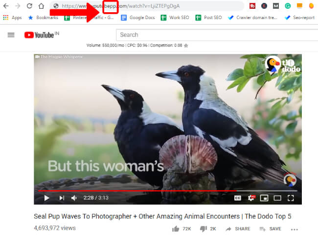 Adding a code in YouTube video URL