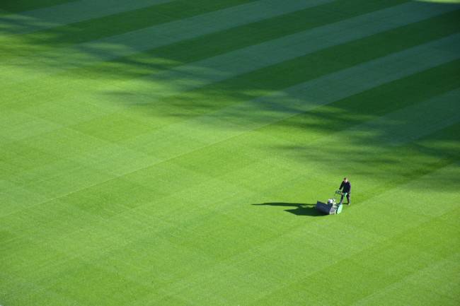 A person Mowing a Lawn