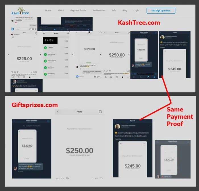 KashTree payment proof used in Giftsprize website