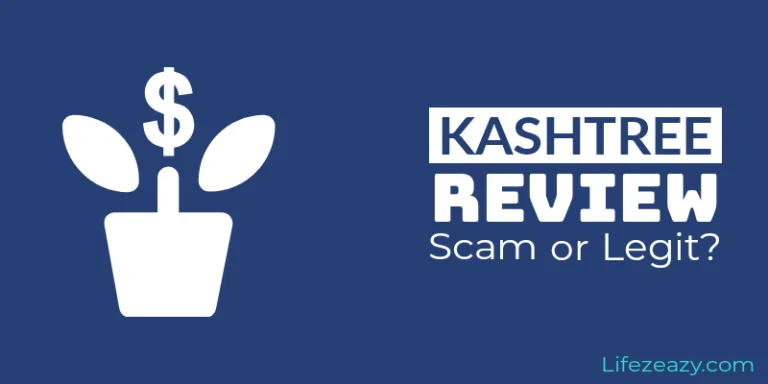 KashTree Review post cover