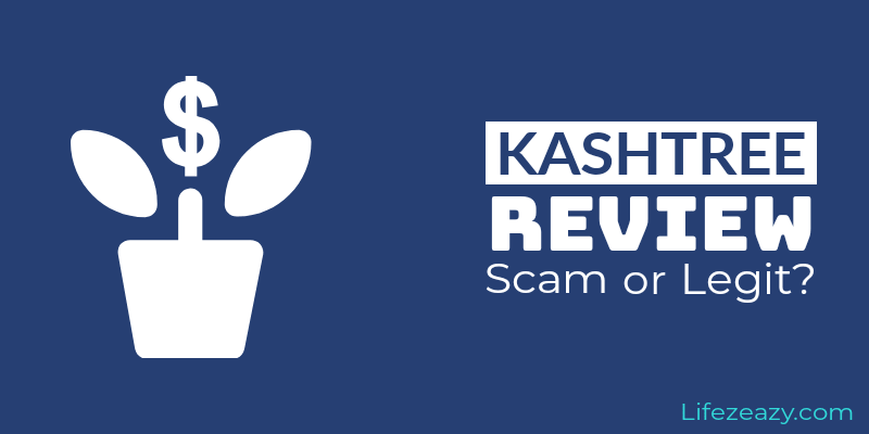 KashTree Review 2021 – Don’t Fall in The Trap