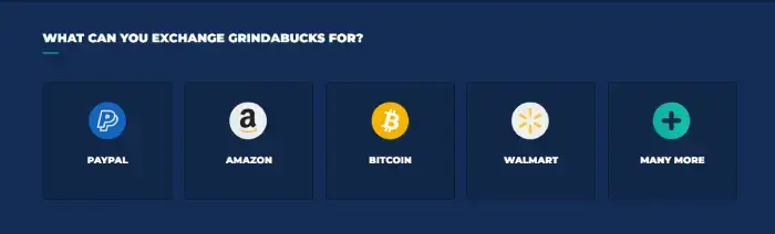 Image displaying various payment methods available on Grindabuck.