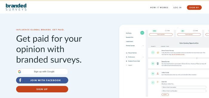 Screenshot of Branded Surveys website homepage